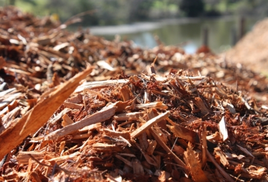 Imatge 1 de la galeria de l’actuació Utilització de les restes vegetals municipals com a mulch