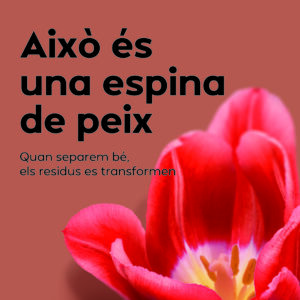 “Res no és el que sembla”: una campanya creativa per impulsar la recollida selectiva a les llars