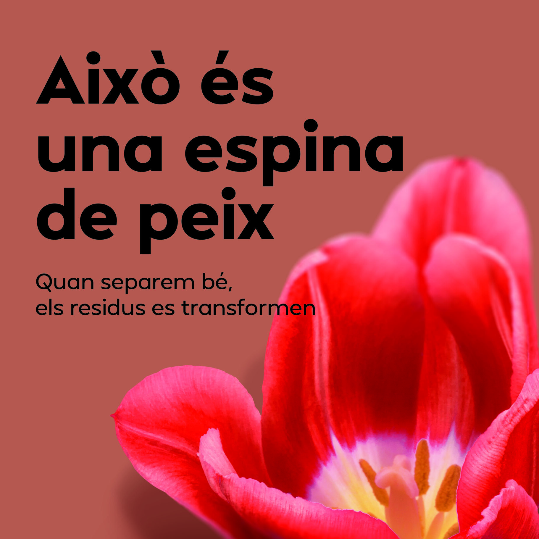 “Res no és el que sembla”: una campanya creativa per impulsar la recollida selectiva a les llars