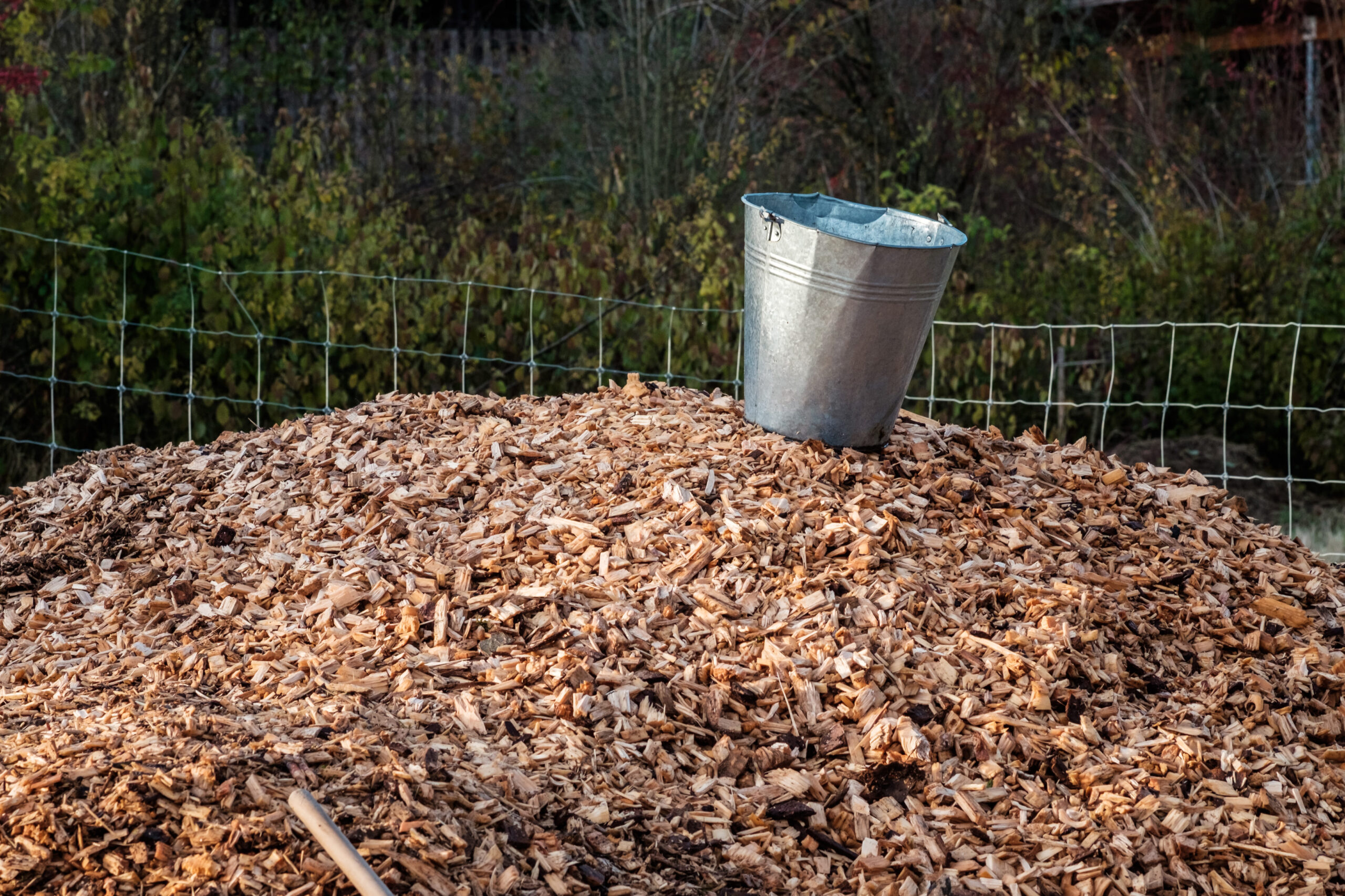 Imatge 1 de la galeria de l’actuació La tècnica “mulching” com a alternativa per a la gestió dels residus de poda